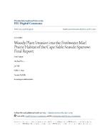 [2009-02-19] Woody Plant Invasion into the Freshwater Marl Prairie Habitat of the Cape Sable Seaside Sparrow: Final Report